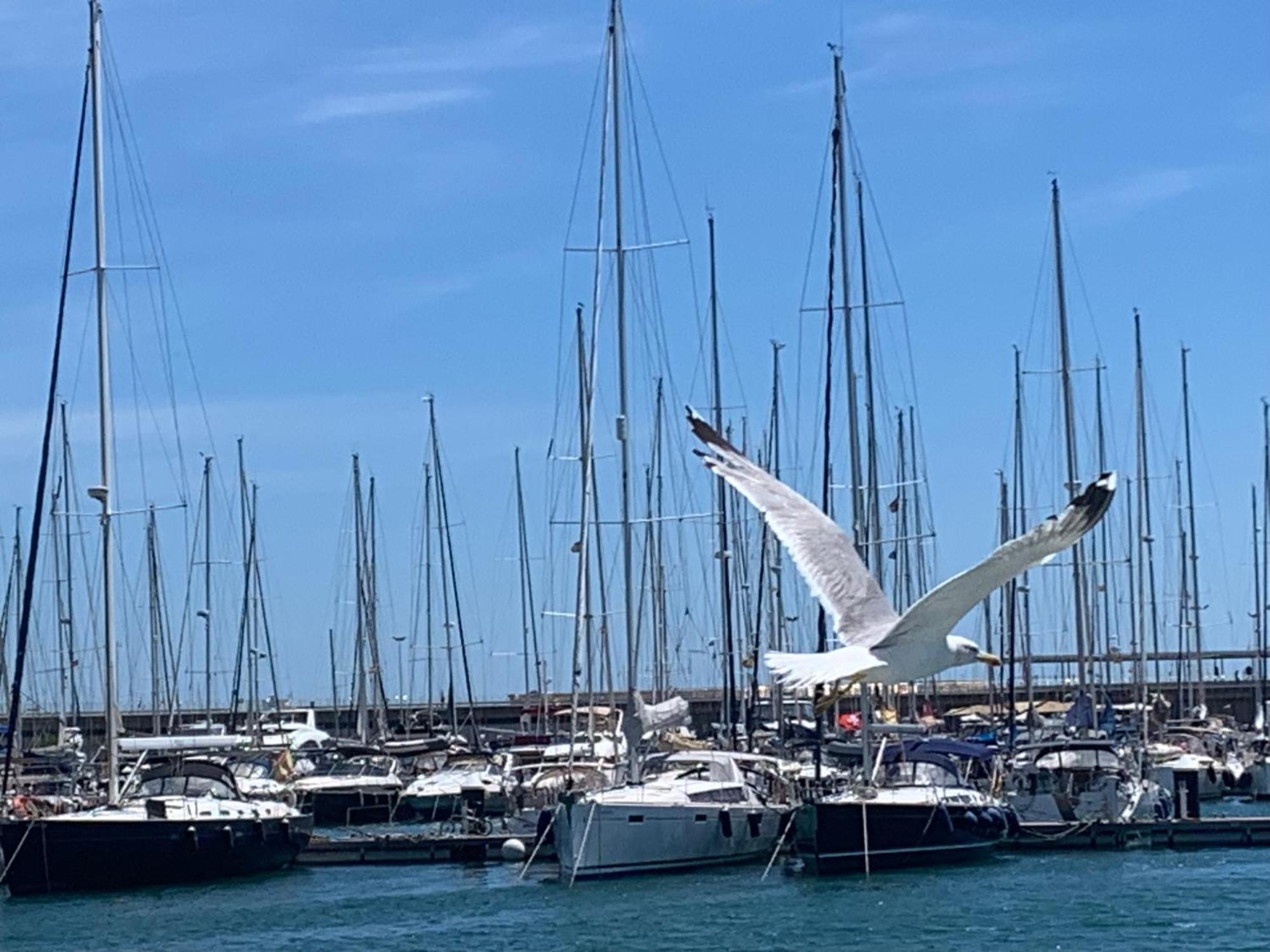 Master&Commander Hotel Valencia Luaran gambar